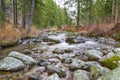 Fast mountain river in forest. Ziarska valley. Western Tatras. Slovakia